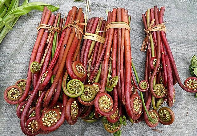传统食材